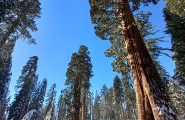 Alta Peak Penzion - Foto 57