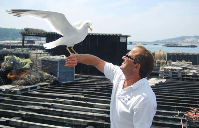 Giro in barca sulla Ría + Degustazione di cozze - Foto 4