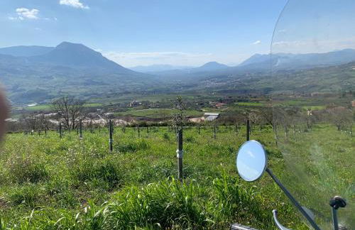 Masseria Frangiosa - Foto 73