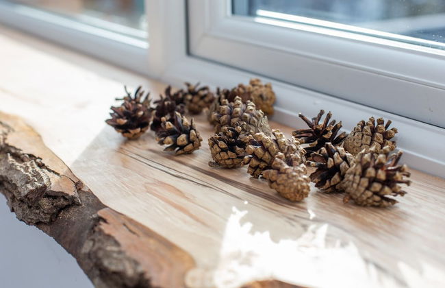 James' Place at Castle Cottage - Foto 14