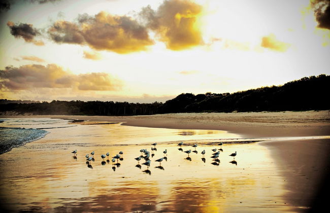 Tranquilo Beach House - Photo 53