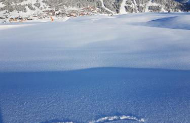 APPARTEMENT PLEIN SUD AUX SAISIES n3 - Foto 13