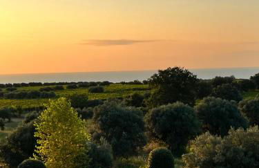 APPARTAMENTO ATTiCO CON TERRAZZO FIBI - Foto 2