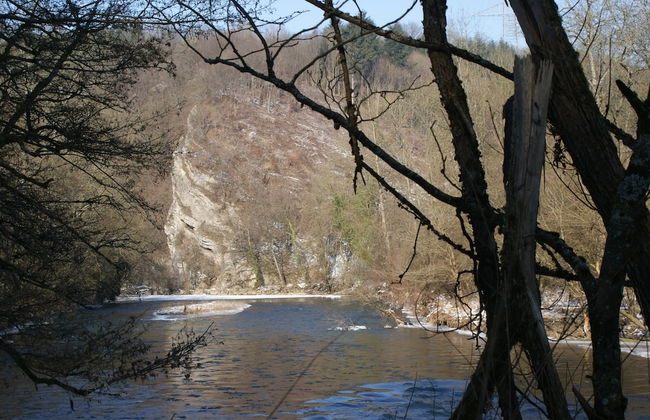 Nature Escape in Bohon - Photo 23