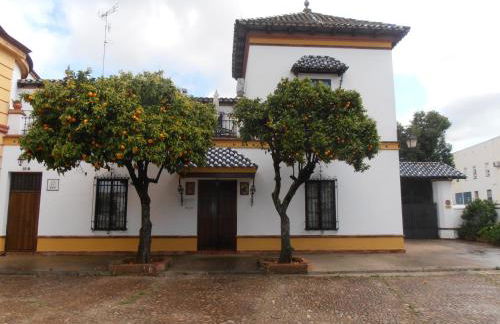 Apartamento Plaza de Toros - Foto 1