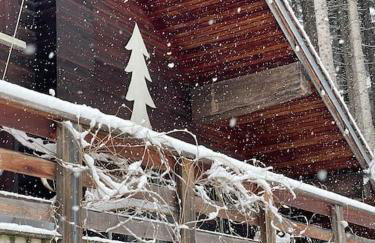 Large peaceful chalet for mountain adventures! Perfect for Flégère and Grand Montet skiing - Foto 73