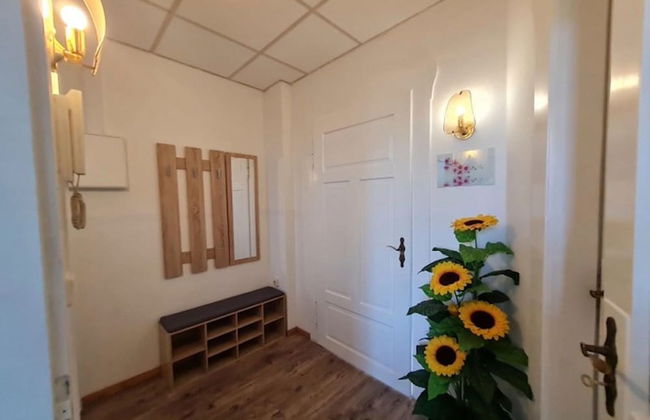 Flat in Zwickau Near August Horch Museum - Foto 18