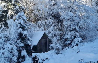 Auszeit Wunschblick - Foto 49