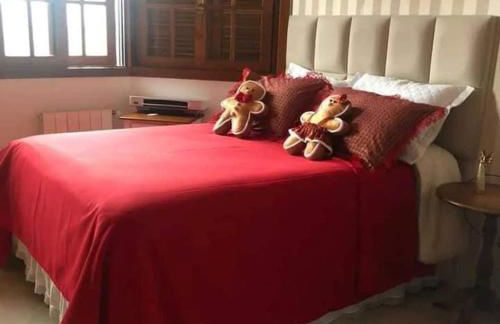 Hortênsiailedefrance - Foto 32