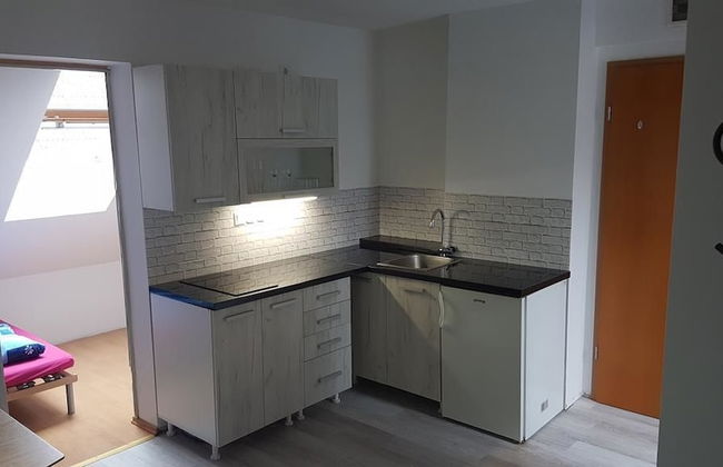 Apartments Lake Bohinj Medja - Foto 28