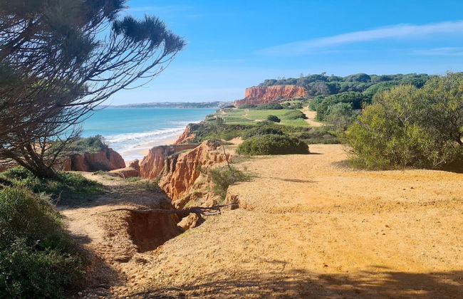 Albufeira Balaia Mar e Sol - Foto 35