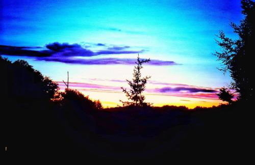 Das Kuenstlerhaus in Kammerstein - Photo 46