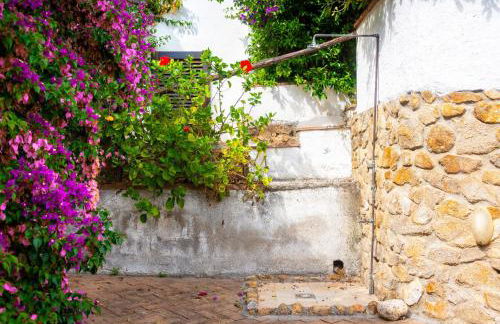 Appartamento Bouganville - Foto 15