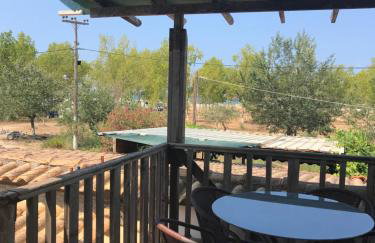 Bochtis Acrogiali - Foto 45