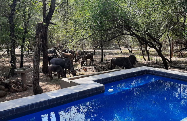 African Sky Villas - Photo 56