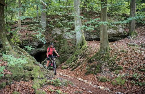 3-Zi App I Fränkische Schweiz, Miselgau-Obernsees - Foto 3