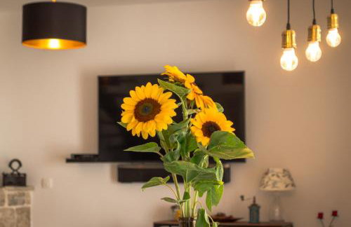 Villa O'Zrna - Foto 46