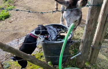 Poggio della Roverella Country House - Foto 52