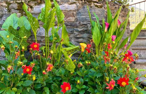 Il Granaio - Historic Molino Maufet Watermill - Lake Como - Photo 12