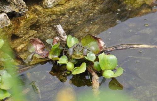Countryside Cottage With Private Terrace - Foto 71