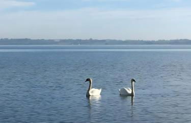 Ferienwohnung zur Ostsee - Foto 34