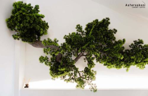 Asteroskoni Luxury Suites - Foto 42