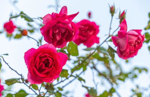 Apena Apartment - Foto 31