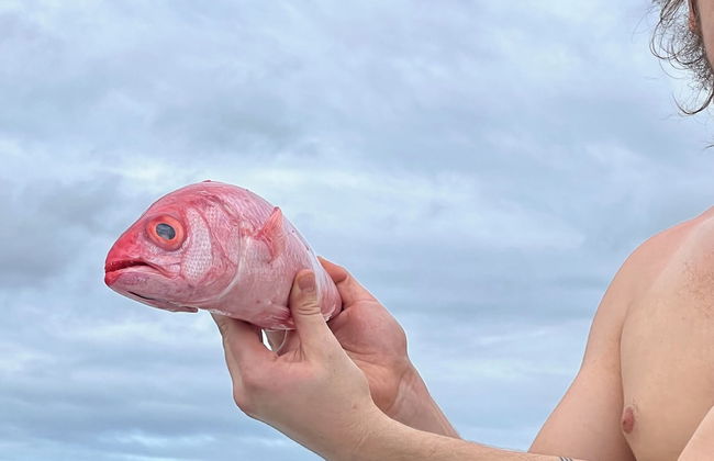 Finca Beachfront Tree house - Foto 13