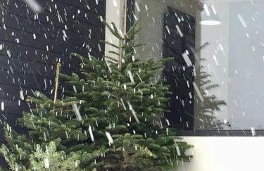 Cerla Korbielów - Domek dla Dwojga - Foto 24