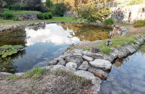 Charming House in Covelas with Shared Pool - Foto 40