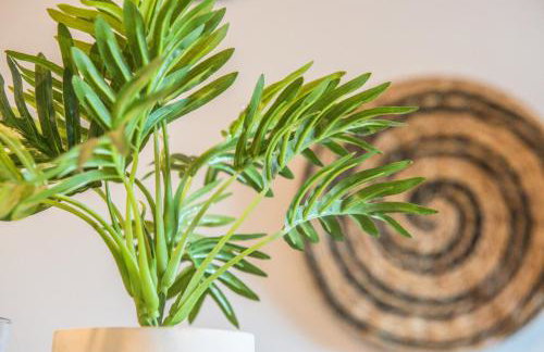 Tram - L'Absolu - Foto 12