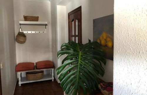 Casa Santa Ana - Foto 6