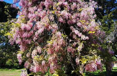 San Processo Agriturismo - Foto 67