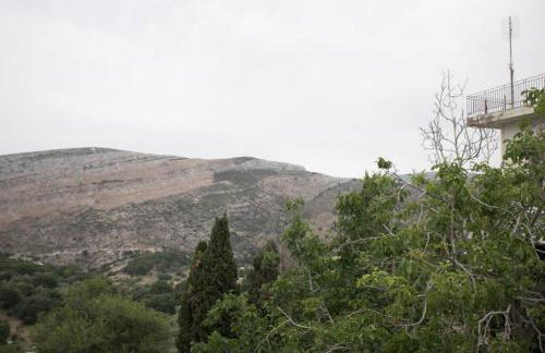 Traditional Inn Pirethron - Foto 60