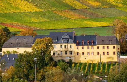 Kavaliershäuschen - Urlaub auf dem Weingut - Foto 25