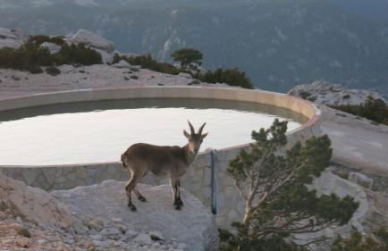 La Caseta del Port - Foto 6