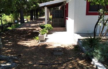 Dialiskari #1 - Foto 14