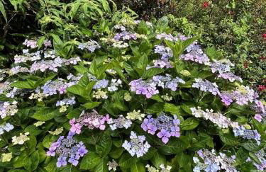 Kynance Cottage - Pendour - Foto 25