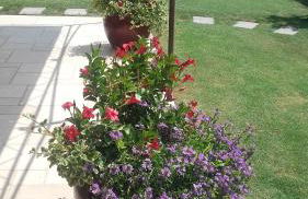 Gite l'Annexe - Foto 6