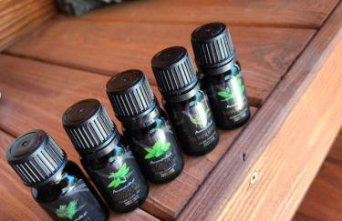 Ranczo na Kaszubach - Foto 17