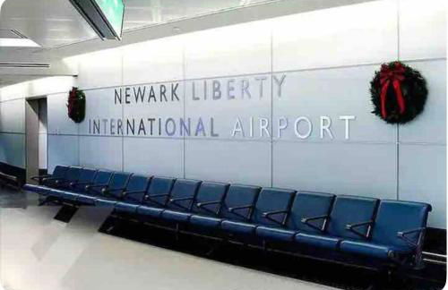 The Orange Oasis - Foto 14