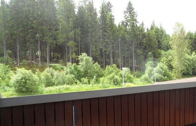 Holiday Apartment Biermann - Foto 11