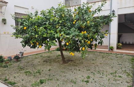 Apartamento Menina San Pedro - Foto 18