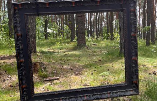 Góra Spokoju Osada klimatyczna-leśna - Foto 34