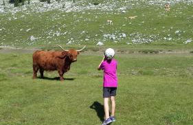 Apartments Gana - Photo 30