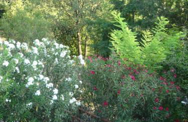 Les Ecrins d'Aix-en-Provence - Foto 79