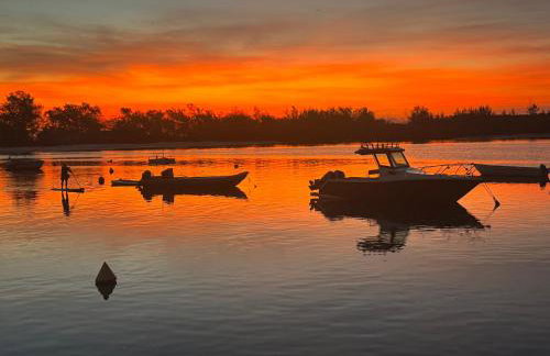 Casa do Roberto Burle Marx - Foto 4