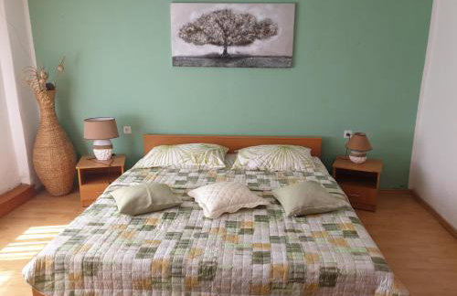 Tiho i Slađana apartments - Foto 15