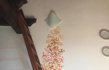 Cà Feddia - Foto 10