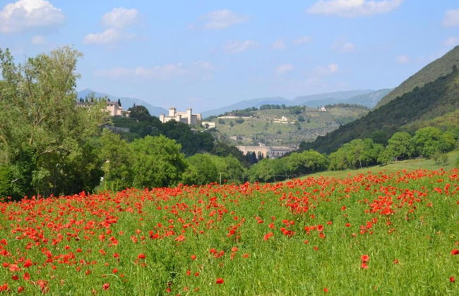 Scenic Stay in Spoleto - Foto 32